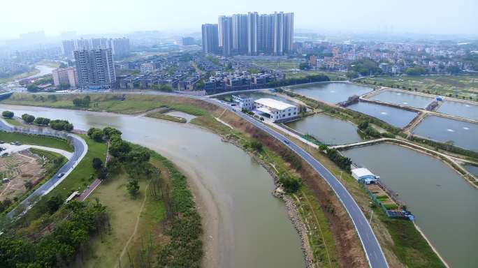 江门鹤山市古劳水乡09