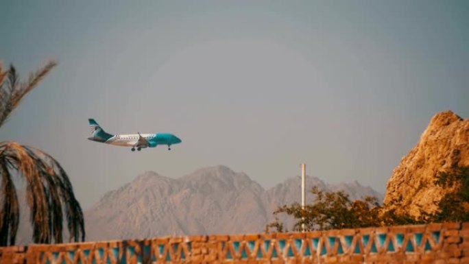 空中客机降落在埃及的山脉和棕榈树背景上