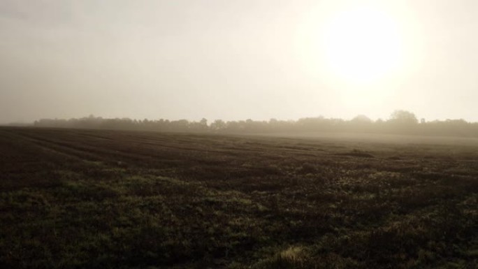 无人机在雾蒙蒙的高沼地和田野上的视野