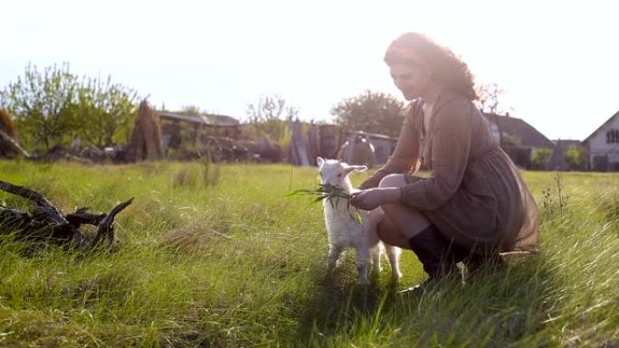 漂亮的乡村女孩坐在田野里喂小白山羊，背景是村庄。漂亮的大码模特摆姿势。人和动物的友谊。素食概念。小农