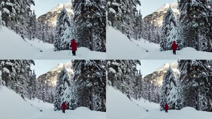 在高山冬季森林中，单身女子雪鞋行走