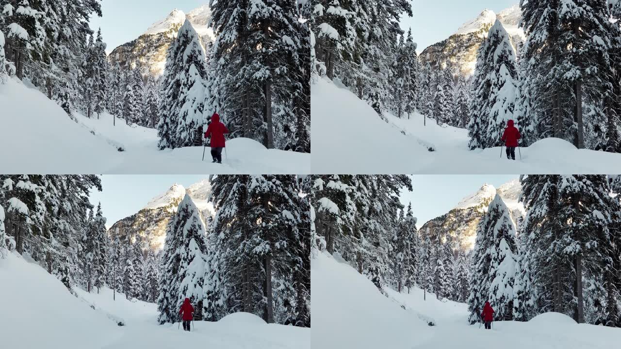 在高山冬季森林中，单身女子雪鞋行走