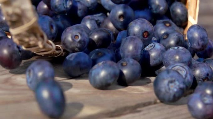 装满大蓝莓的掉落篮子的特写