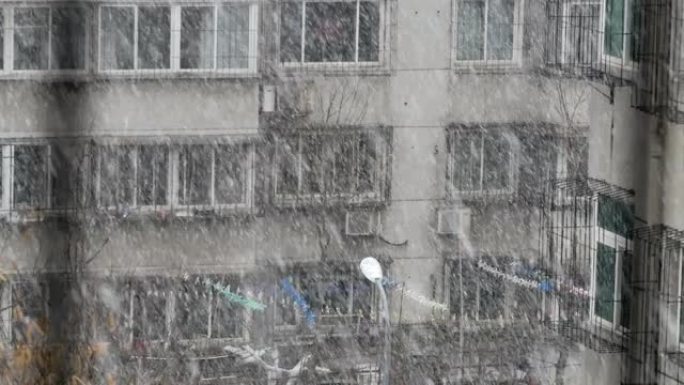透过窗户看到飘落的雪