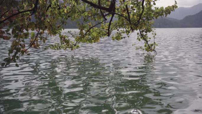 布莱德湖与著名布莱德岛的全景