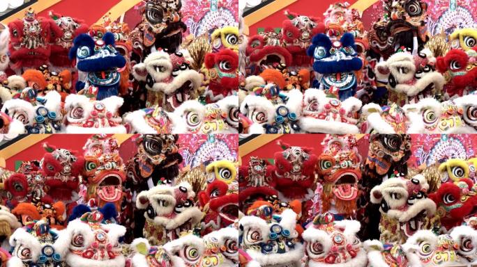 一群中国狮子在农历新年庆祝活动中表演。