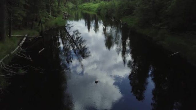 飞越河流。夏天西伯利亚森林。针叶林鸟瞰图。冷流。