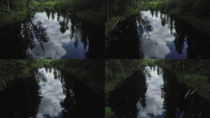 飞越河流。夏天西伯利亚森林。针叶林鸟瞰图。冷流。