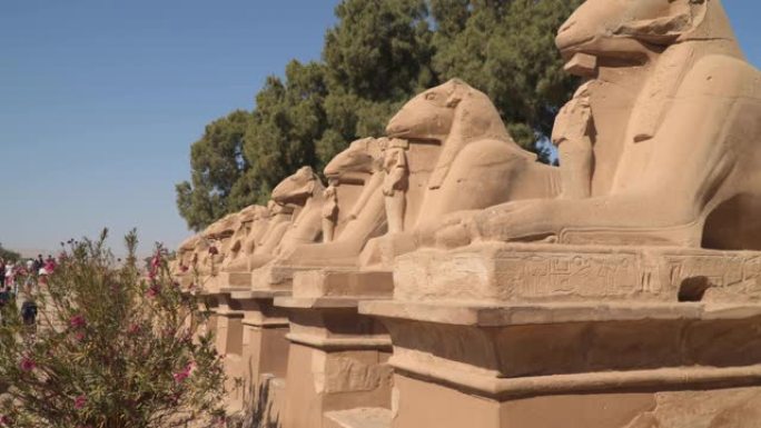 卡纳克神庙建筑群的狮身人面像雕像，上面有拉姆的头和狮子的身体