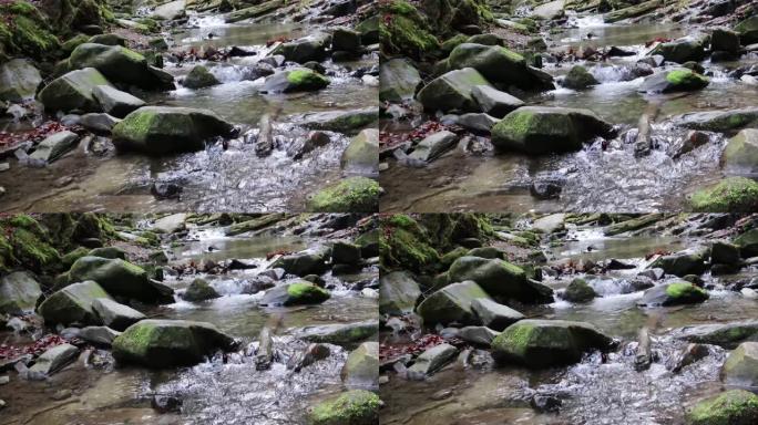 一股美妙的淡水急流，一条河流流动。野山河特写充足的干净溪流。石头巨石的静态射击和喷水。乌克兰，喀尔巴