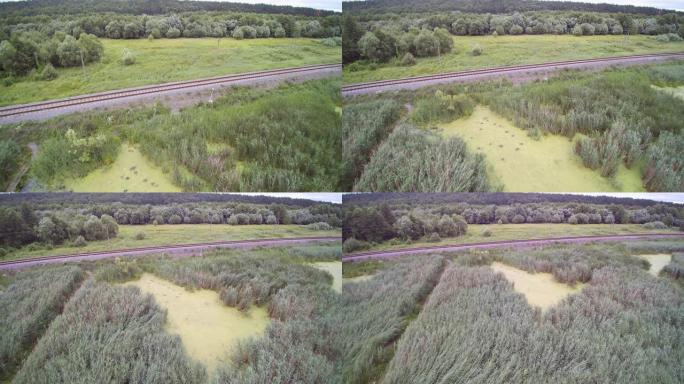 沼泽附近甘蔗芦苇场木桥和火车轨道的空中无人机视图