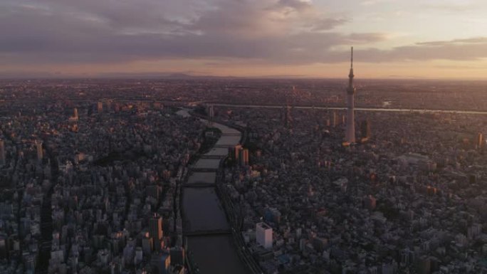 空中的东京城市景观在黎明，日本