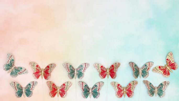 可爱的蝴蝶出现在彩色背景上 -- 停止运动