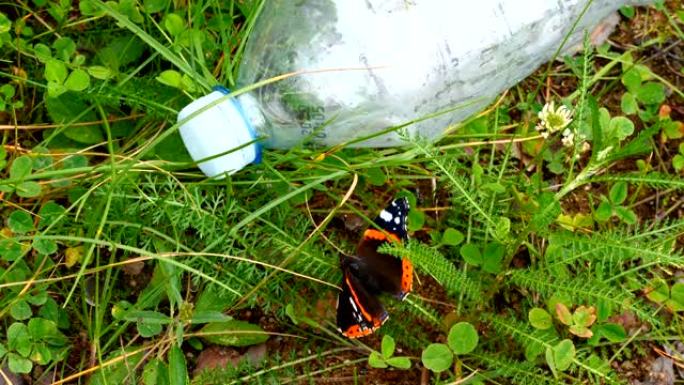 蝴蝶旁边的塑料瓶的景色