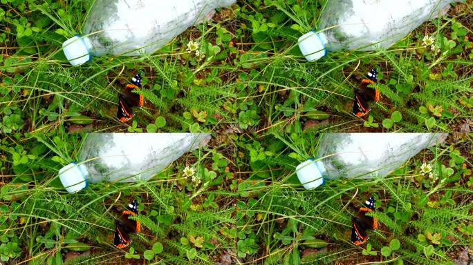 蝴蝶旁边的塑料瓶的景色