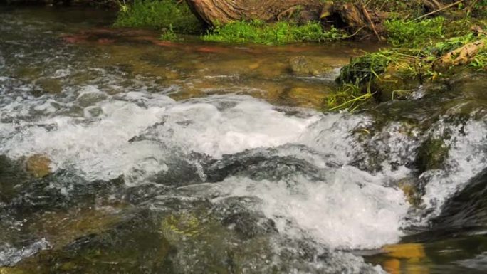 慢动作中的快速山区河流