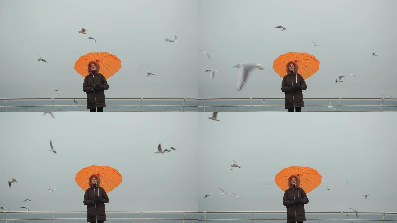 穿着橙色雨伞的女人在心形享受海鸥的海景