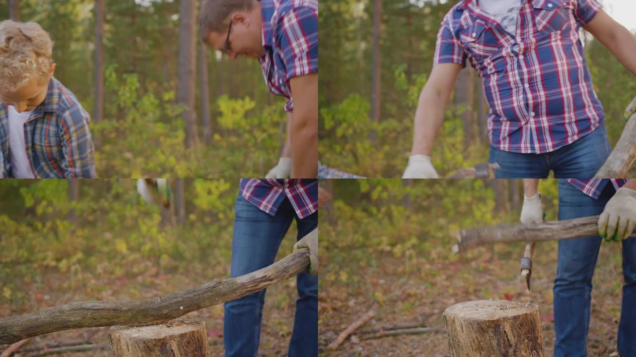 父子俩在森林徒步旅行中砍柴干柴。旅游爸爸一起儿子少年在夏季林地用斧头砍柴。