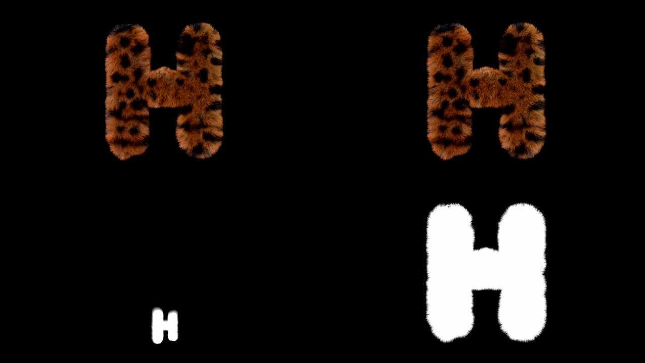 豹子毛茸茸的动画毛茸茸的字母H