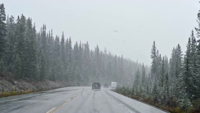 在班夫国家公园松树林的大雪中，汽车在高速公路上行驶