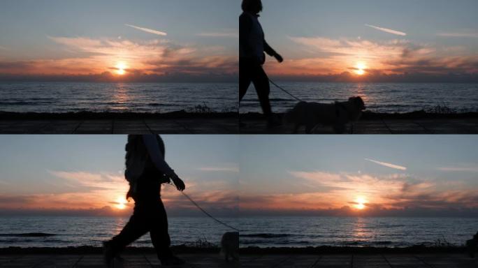 日落时与狗一起在长廊散步的幸福夫妇的剪影。快乐的老夫妇和狗一起沿着码头散步。日落时，快乐的女人和男人