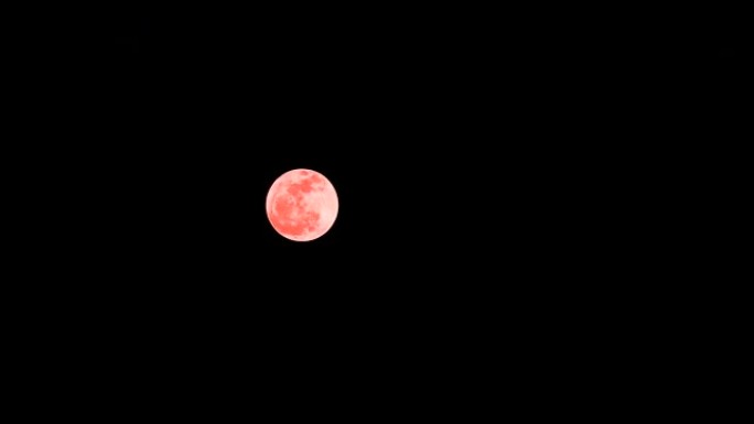 在晴朗的夜空中，满满的橙色橡树月亮，没有云时间流逝