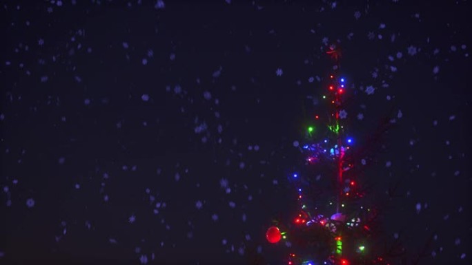 圣诞树的特写树枝，五颜六色的花环灯饰被雪花动画包围