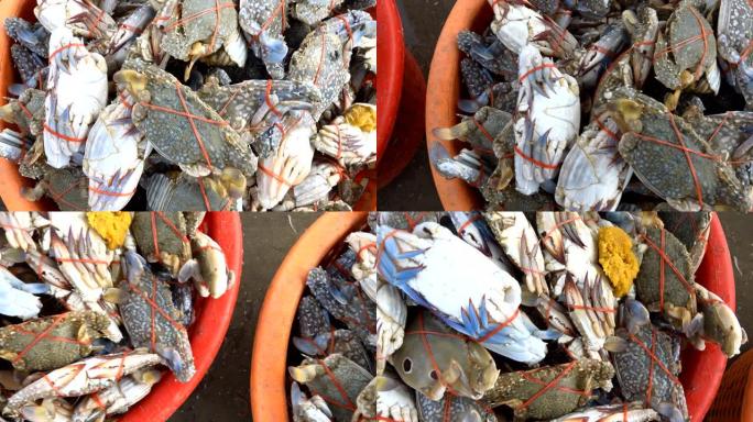 螃蟹。鱼市场。渔夫的渔获物。篮子里的海蟹。花蟹、蓝泳蟹、马蟹。