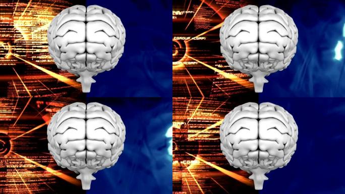 背景划分的人脑背景划分的人脑人工智能