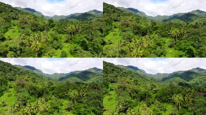 美丽的山景，山峰覆盖森林