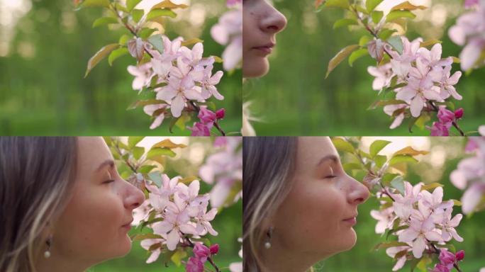 春天的细节和近距离观察树枝和花朵