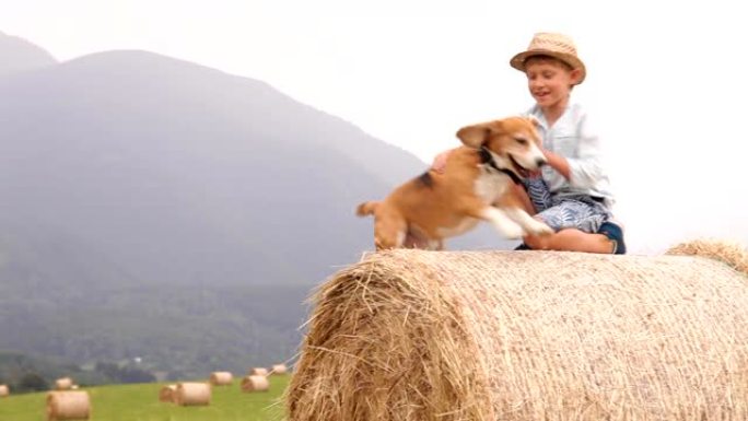 乡村乡村场景: 小男孩坐在干草堆上训练他的小猎犬。有趣的宠物朋友跳上海瑞克逃跑。带宠物概念镜头的快乐