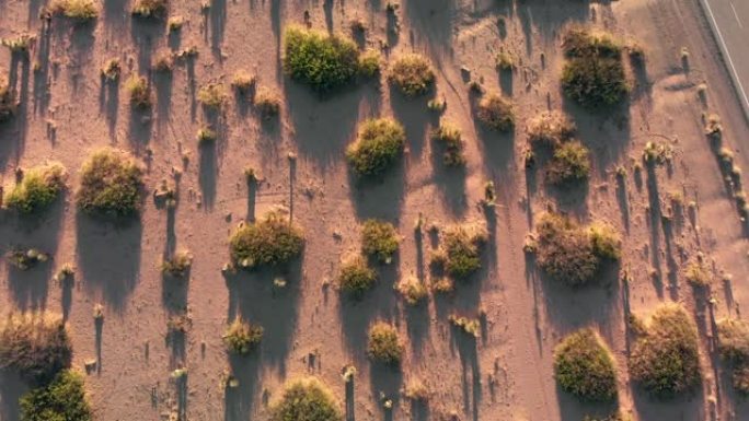 从西德克萨斯州延伸到新墨西哥州的狭窄寂寞沙漠公路的空中无人机视图