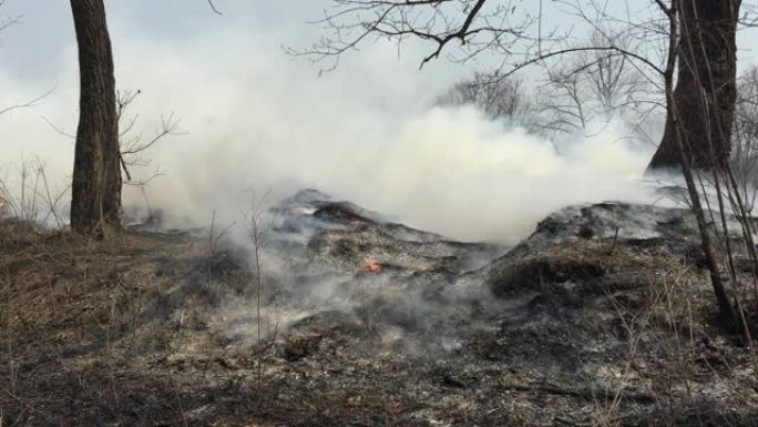 浓烟在树林里着火山火灾害火灾事故火灾