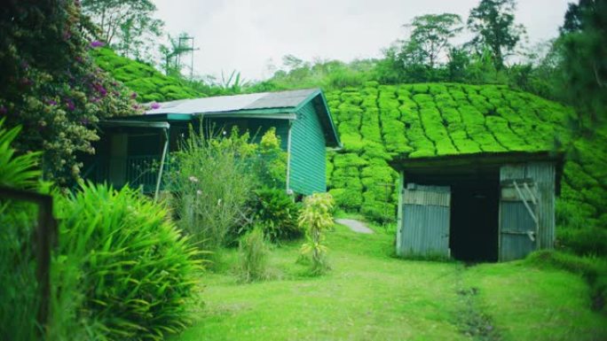 马来西亚金马仑高原BOH茶园的工人之家
