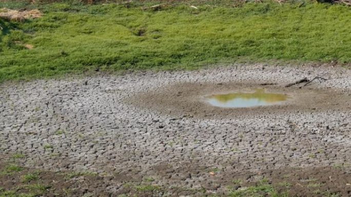 干旱地区最后一个小池塘。