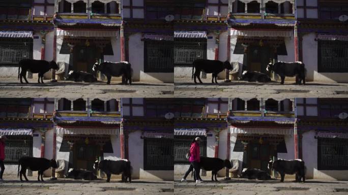 藏式藏族西藏建筑纹路 寻找古人足迹