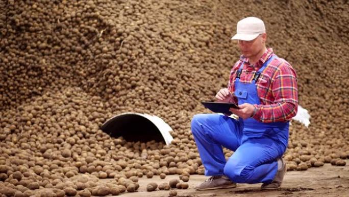 农民用数字平板电脑监控土豆的质量。马铃薯仓储仓库的背景。马铃薯收获、农业、食品工业