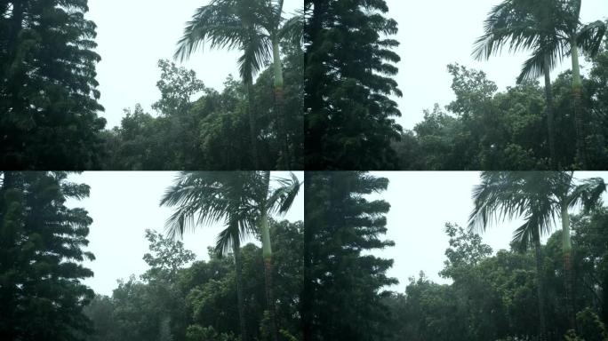暴雨来了狂风暴雨台风天气视频素材