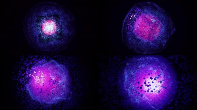 抽象发光的球体，黑色背景上有一团小颗粒。动画。被不断膨胀的太空尘埃云包围的能量球