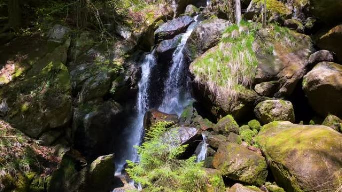 穿过森林的山涧山泉水森林溪流纯净水源