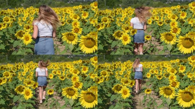 女孩在田野里奔跑，向日葵的头发在风中飘扬。慢动作的人。