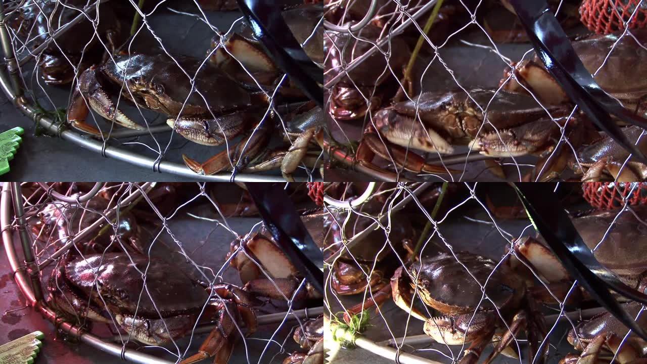 笼子里的螃蟹捕鱼