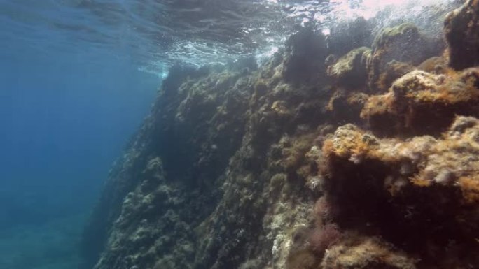 水面下的岩礁墙。地中海水下海景