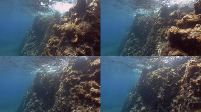 水面下的岩礁墙。地中海水下海景