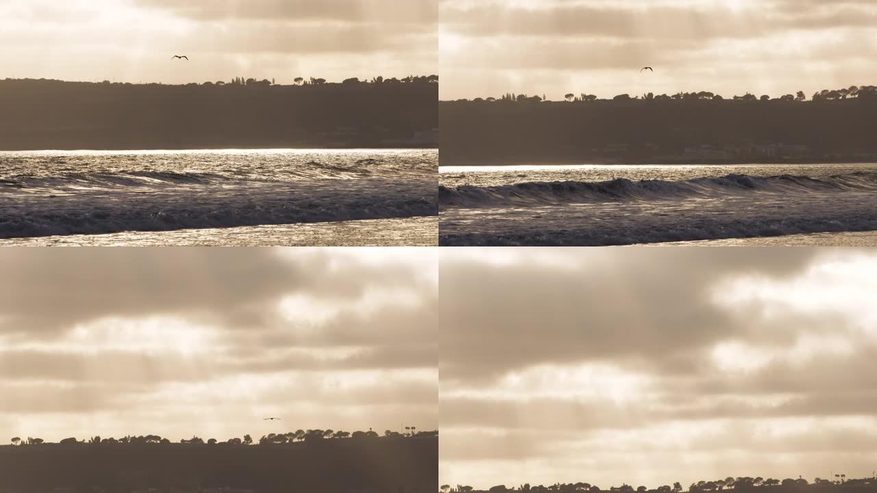 相机跟随海鸥以慢动作飞向日落