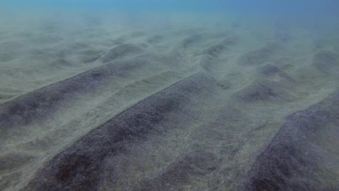 冲浪区海底沙子的运动。沿海地区的海浪使海底的沙子运动