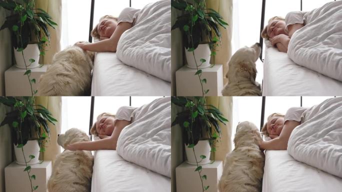 有趣的视频。对宠物的爱。大白狗清晨在卧室叫醒情妇