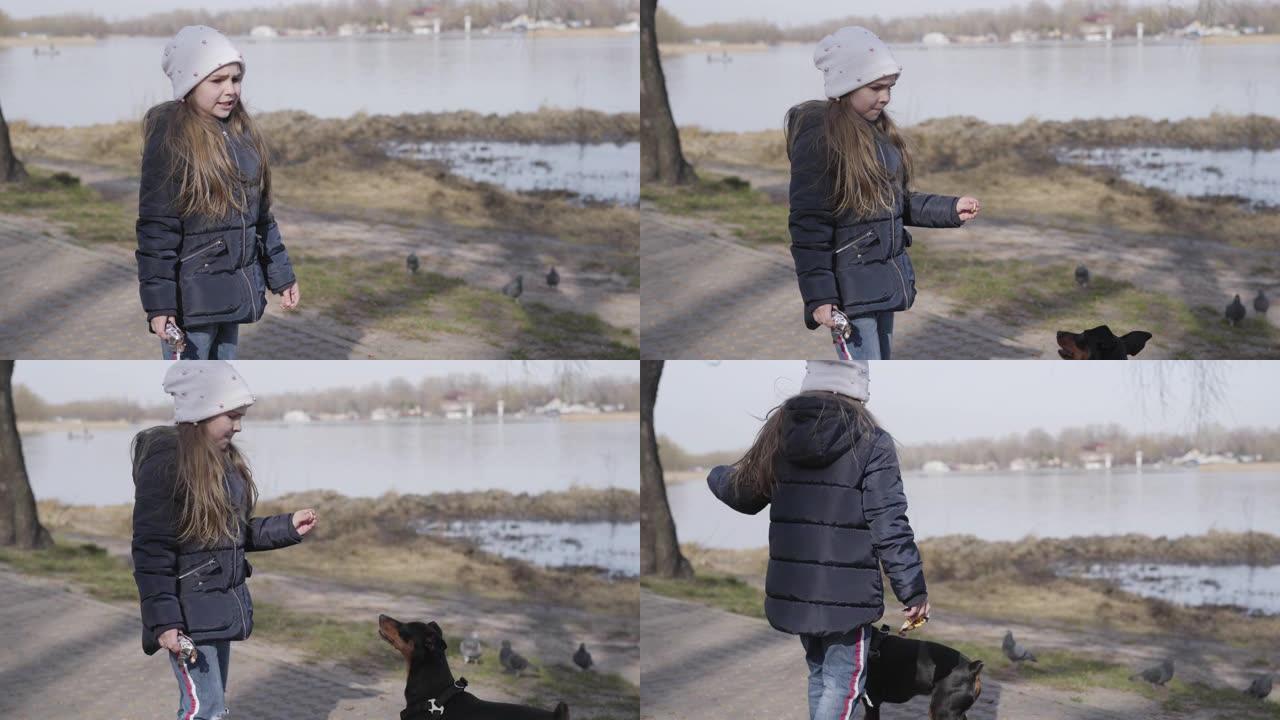 不耐烦的高加索女孩在公园训练宠物。不满的小孩在户外呼唤可爱的不听话的狗。生活方式，犬类休闲，自然