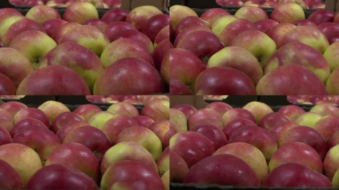 水果厂纸箱里的苹果。篮子里有红苹果，等待运输。纸箱里成熟的红苹果。